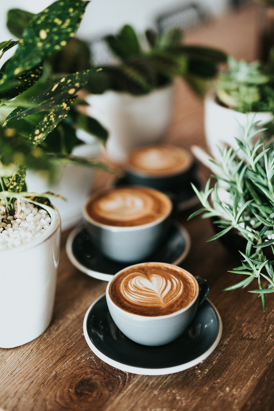 Health Benefits of Coffee You Didn't Know About